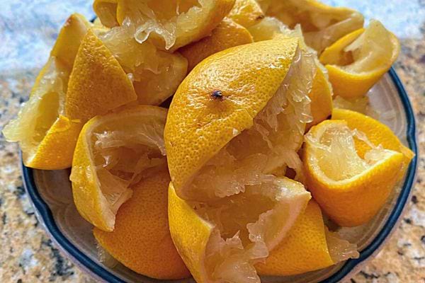 Bol de quartiers d'orange pressés.