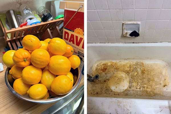 Bol de citrons frais à côté d'une baignoire tachée de rouille.