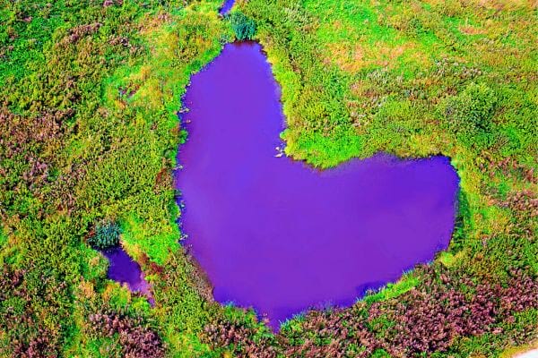 Un lac naturel en forme de cœur entouré de végétation, vu d'en haut.