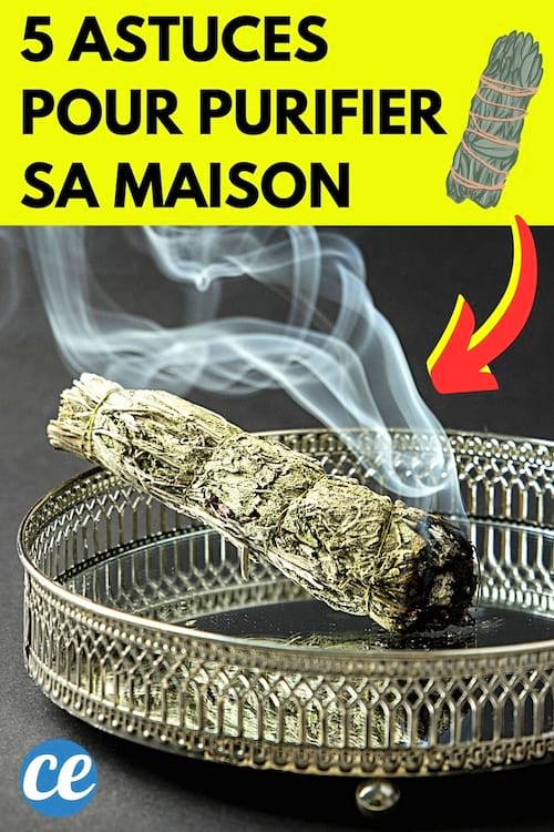 De la sauge qui est allumée pour purifier la maison au naturel des énergies négatives