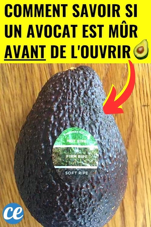 Un avocat qui a été choisi mûr grâce à une astuce facile et rapide