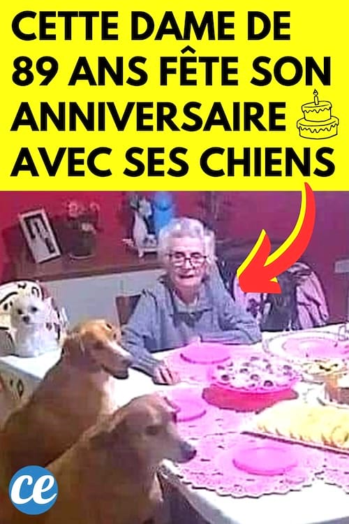 une dame de 89 ans autour de la table fête son anniversaire avec ses chiens