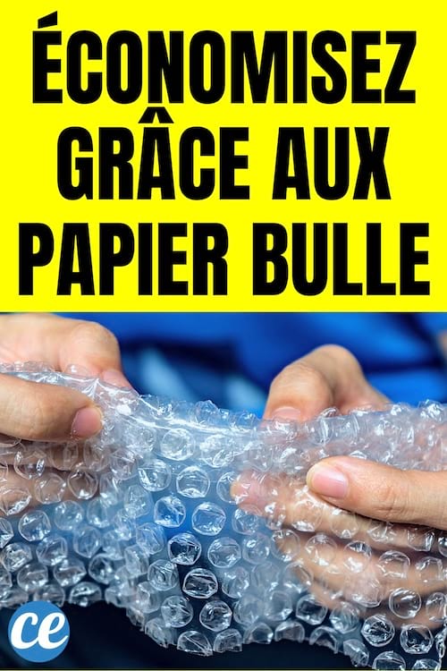 Ne Jetez Plus Jamais le Papier Bulle. Vous Pourriez Économiser Beaucoup d'Argent.