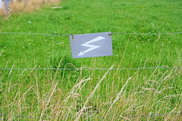 Panneau gris avec un symbole d'éclair sur une clôture électrique devant de l'herbe haute.