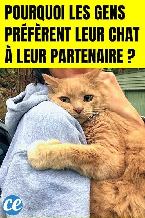 Pourquoi les gens préfèrent leur chat à leur partenaire ?