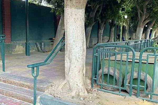 Un tronc d'arbre peint en blanc près de marches et d'une rampe, intégré dans un espace urbain.