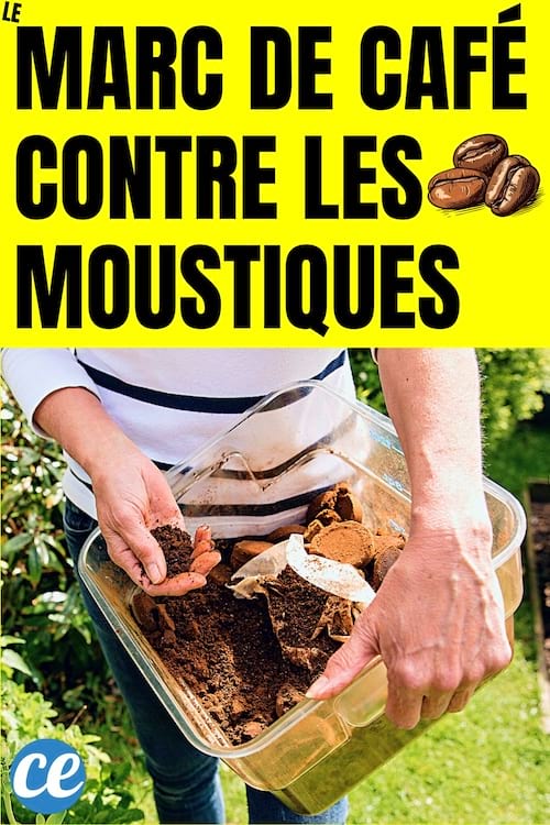 Le marc de café contre les moustiques
