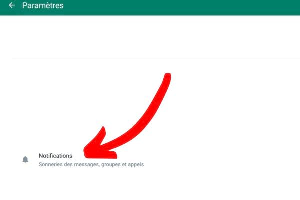 Option "Notifications" dans les paramètres WhatsApp, flèche pointant dessus.