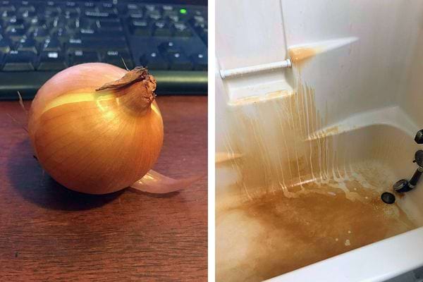 Oignon pelé sur un bureau, parallèle à une baignoire avec des traces de rouille.