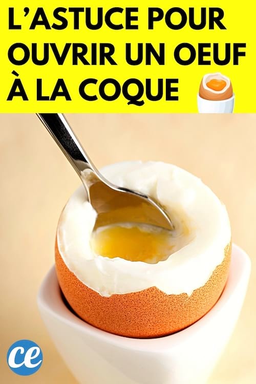 Un oeuf à la coque qui a été ouvert facilement avec une cuillère