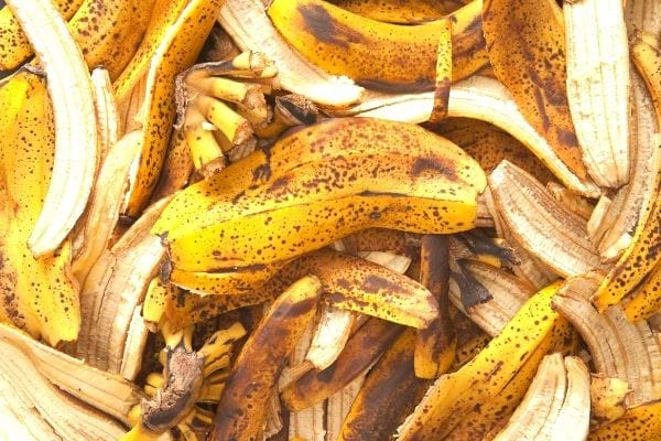 Les peaux de banane sont riches en nutriments que les plantes adorent.