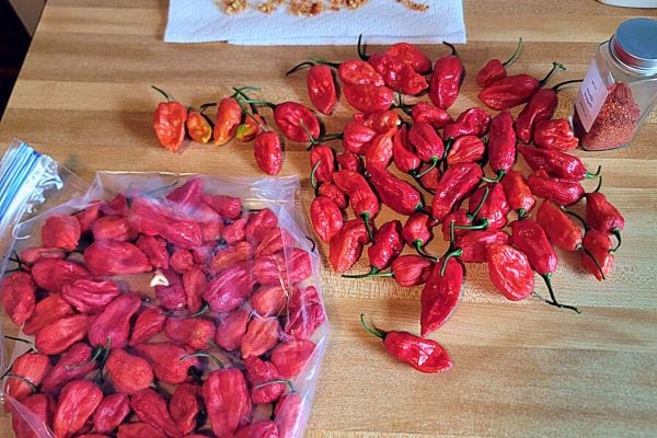 Piments rouges séchés et frais sur une table en bois.