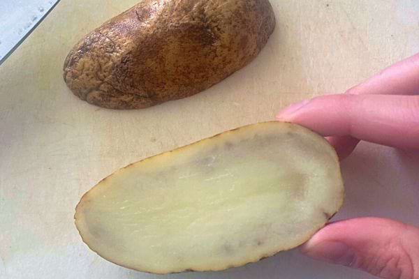 Pomme de terre coupée en deux, intérieur cru, tenue par une main.