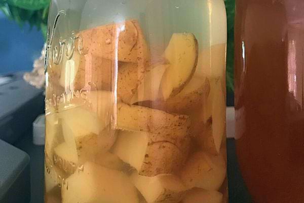 Bocal en verre avec des morceaux de pomme de terre trempant dans l'eau.