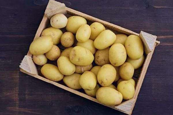 Des pommes de terre crues de taille moyenne dans une caisse en bois sur fond sombre.