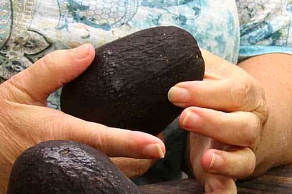 Une femme qui appuie délicatement sur l'avocat pour savoir s'il est mûr