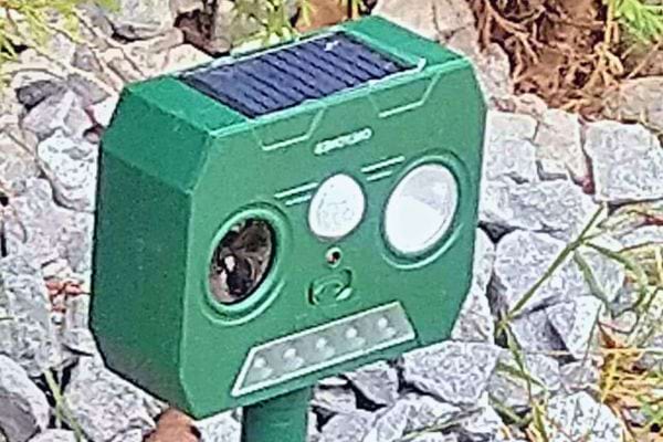 épulsif à ultrasons vert pour animaux avec panneau solaire intégré, posé sur des cailloux.