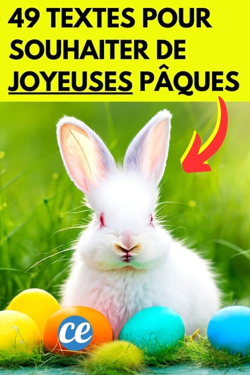 Un lapin avec des oeufs de Pâques pour souhaiter une bonne fête