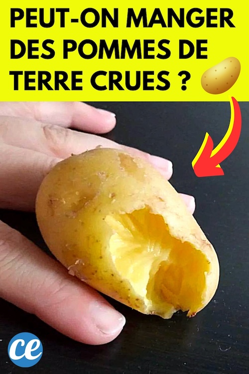 Peuton Manger des Pommes de Terre Crues Sans Risque
