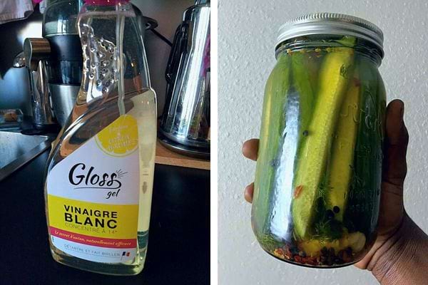 Conserve maison de cornichons avec du vinaigre.