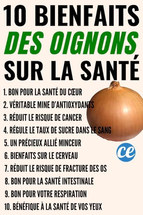 10 bienfaits des oignons sur la santé 