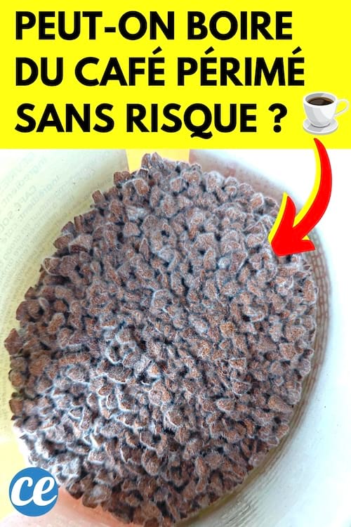 Un bol avec des grains de café périmé que l'on peut boire
