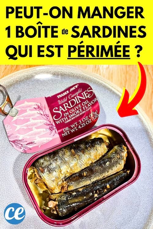 Peuton Manger des Sardines en Conserve Après la Date de Péremption