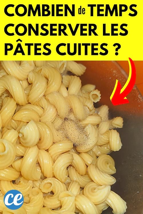 Pâtes Cuites Combien de Temps les Conserver au Maximum au Frigo
