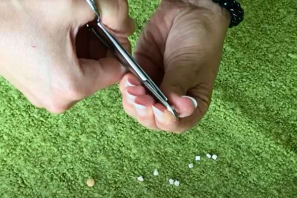 Comprimé en cours de coupe, tenu avec un coupe-ongles par une main.
