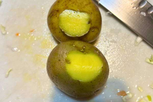 Coupe de pommes de terre vertes, risque de solanine.