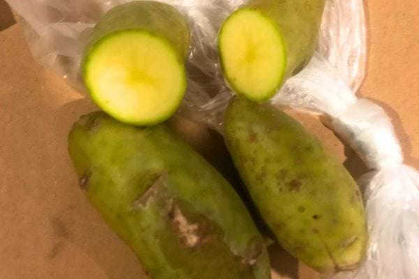 Pommes de terre coupées révélant verdure intérieure.