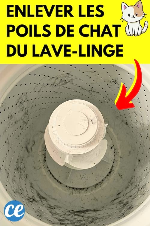 Comment Enlever les Poils de Chat et Chien de la Machine à Laver