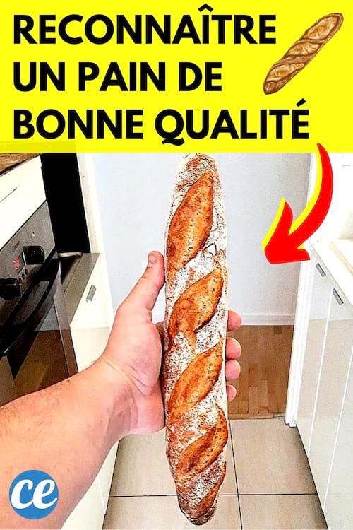 Une baguette qui est de bonne qualité dans la main d'un homme 