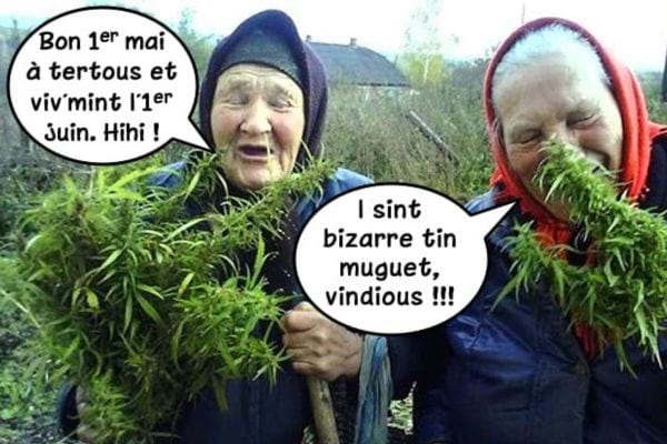 Deux femmes âgées avec des plantes vertes. L'une dit : "C'est du muguet bizarre!" Confusion comique.