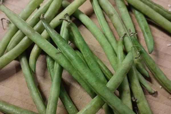 Une boîte en carton remplie de haricots verts prêts à être congelés.