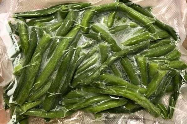Les haricots verts sont placés dans des sacs de congélation