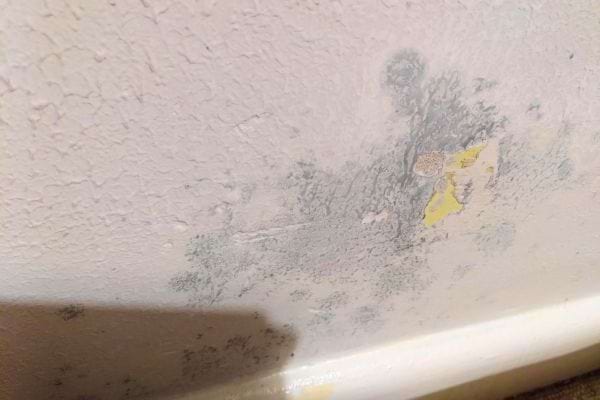 Un mur montrant des signes de moisissure ou d'humidité. Le marc de café pourrait aider à absorber l'humidité ici.