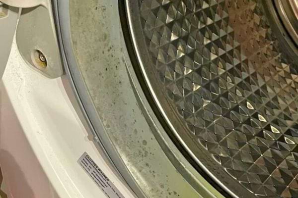 Moisissures autour du joint du tambour d'une machine à laver.