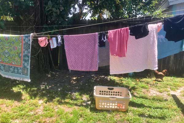 Vêtements sur une corde à linge avec panier à linge et un poulet à proximité, risque d'animaux nocturnes.