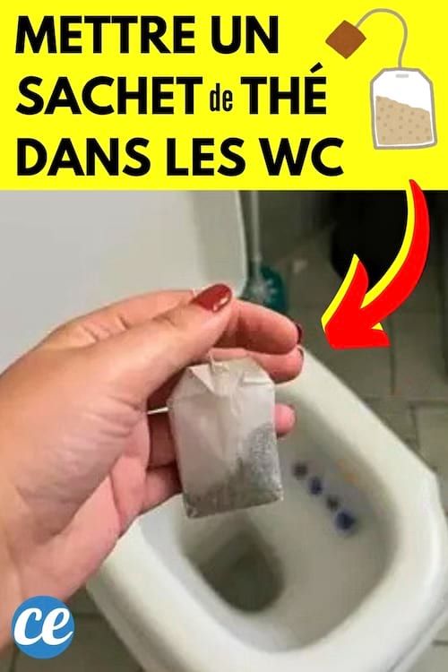 Une femme qui met un sachet de thé dans la cuvette des toilettes pour les nettoyer