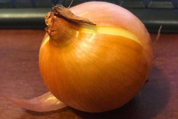 Oignon jaune sur un clavier, démontrant la commodité des ingrédients à portée de main.