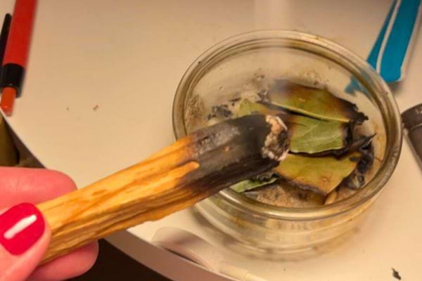 Une tige de Palo Santo brûlée, utilisée pour nettoyer les espaces de ses énergies négatives.