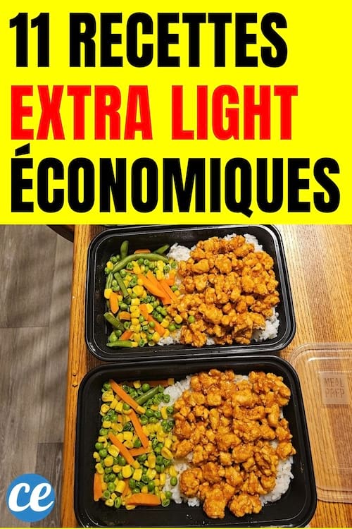 11 Recettes Extra Light Économiques