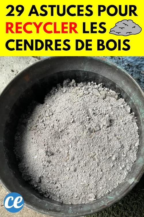De la cendre de bois dans un pot