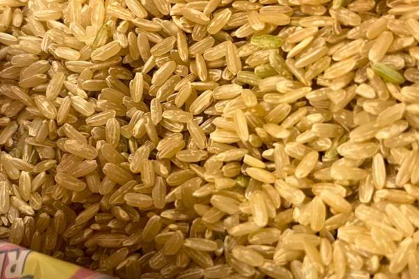 Gros plan de grains de riz complet crus.