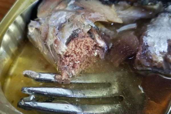 Sardine coupée, exposant l'intérieur, dans une boîte ouverte.