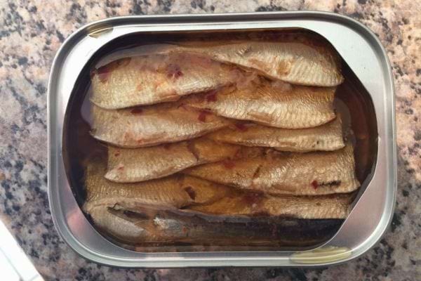 Boîte de conserve pleine de sardines empilées et huilées.