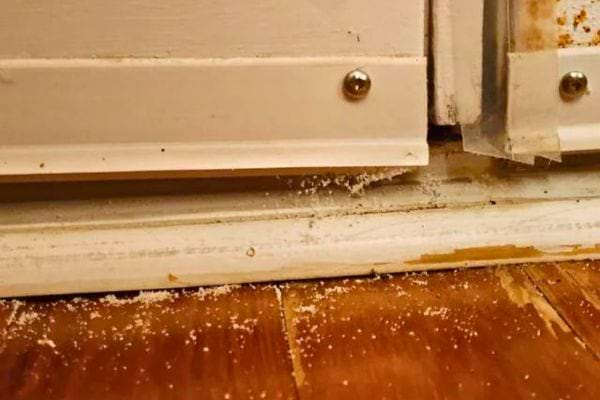 Sel éparpillé sur un sol en bois près d'une porte.