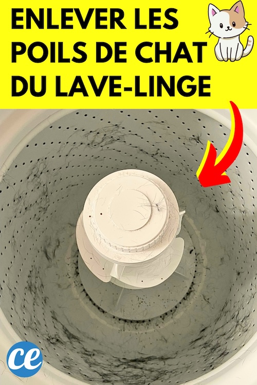 Comment Enlever les Poils de Chat et Chien de la Machine à Laver