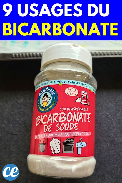 Bicarbonate 9 Utilisations Pour la Maison et la Beauté.